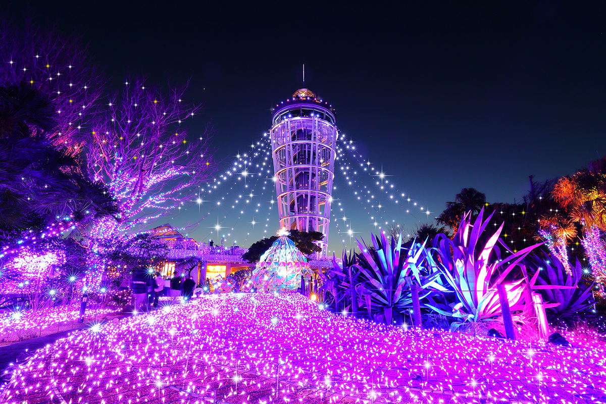 湘南の宝石～江の島を彩る光と色の祭典～